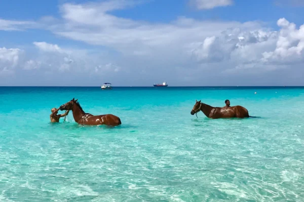 Rejs Karaiby Barbados z Dominikany – AIDAsol 15 dni