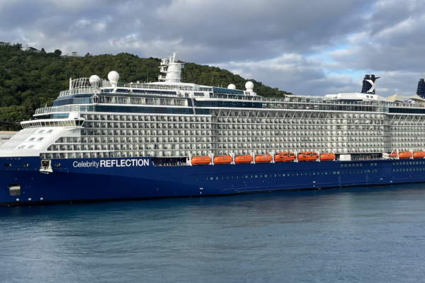 Celebrity Reflection *****