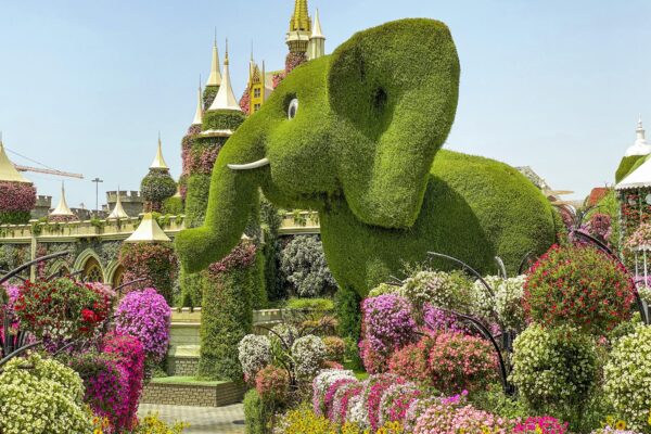 Magiczny Dubaj, Doha, Sir Bani Yas – Mein Schiff Flow z Dubaju 31.1.2027